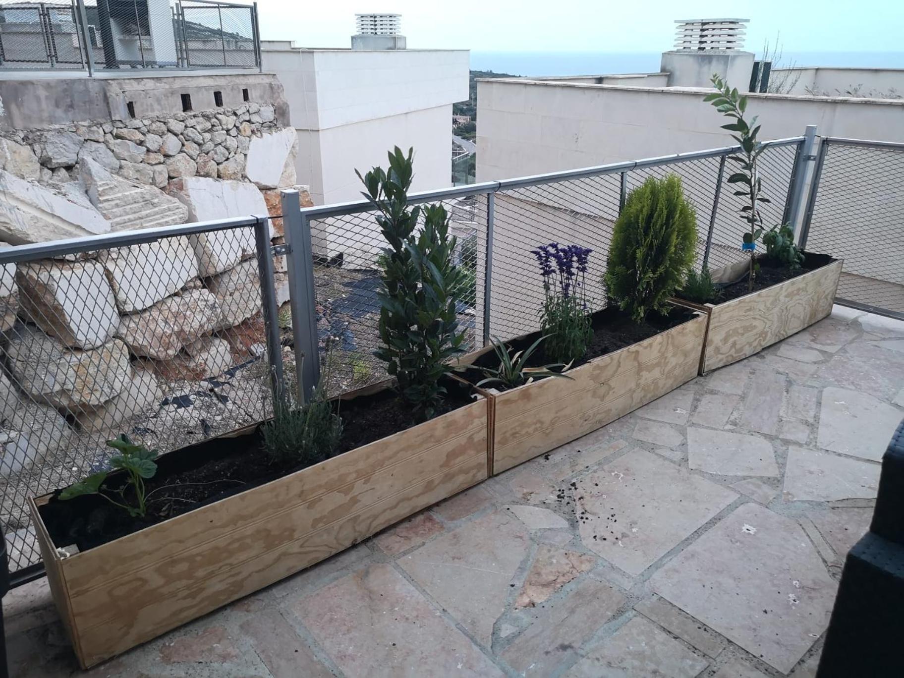 Apartament La Casa Del Mirlo Azul - Peñiscola Zewnętrze zdjęcie